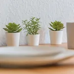 Ideal Fuer Entdeckerfamilie Dinslaken