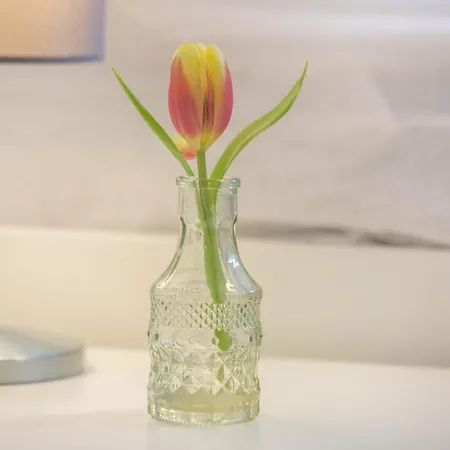 アパート Ideal Fuer Entdeckerfamilie ディンスラーケン