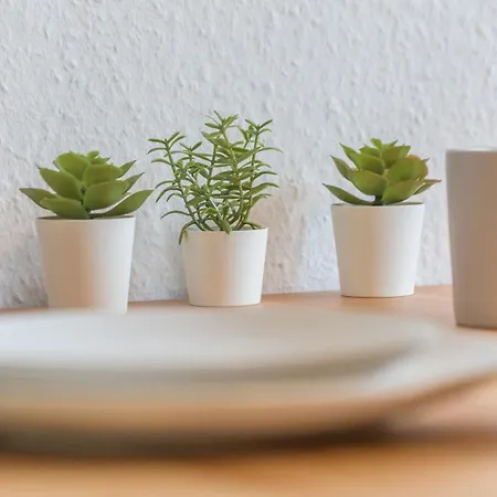 Ideal Fuer Entdeckerfamilie