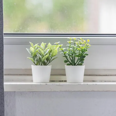 アパート Ideal Fuer Entdeckerfamilie