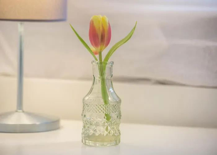 Apartman Ideal Fuer Entdeckerfamilie Dinslaken