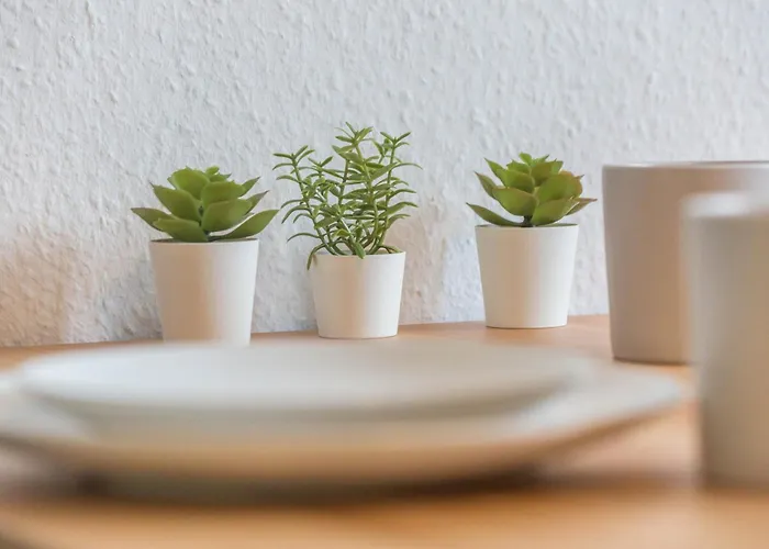 Ideal Fuer Entdeckerfamilie