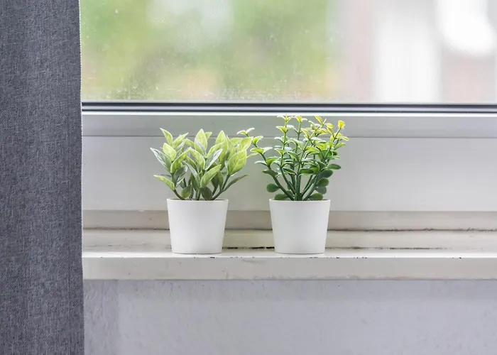 Apartman Ideal Fuer Entdeckerfamilie